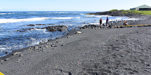 Punalu'u Black Sand Beach