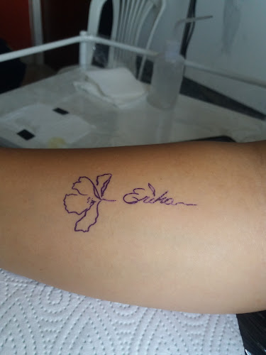 Teléfono de Estudio Creativo Desafío Ink