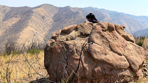 Nature Preserve «UC Davis - Stebbins Cold Canyon Natural Reserve», reviews and photos, CA-128, Winters, CA 95694, USA
