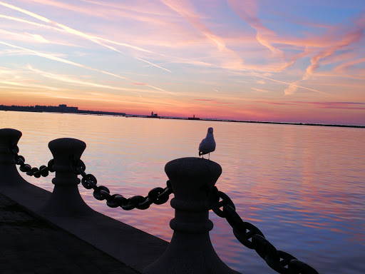 Marine Supply Store «West Marine», reviews and photos, 1577 St Clair Ave NE, Cleveland, OH 44114, USA