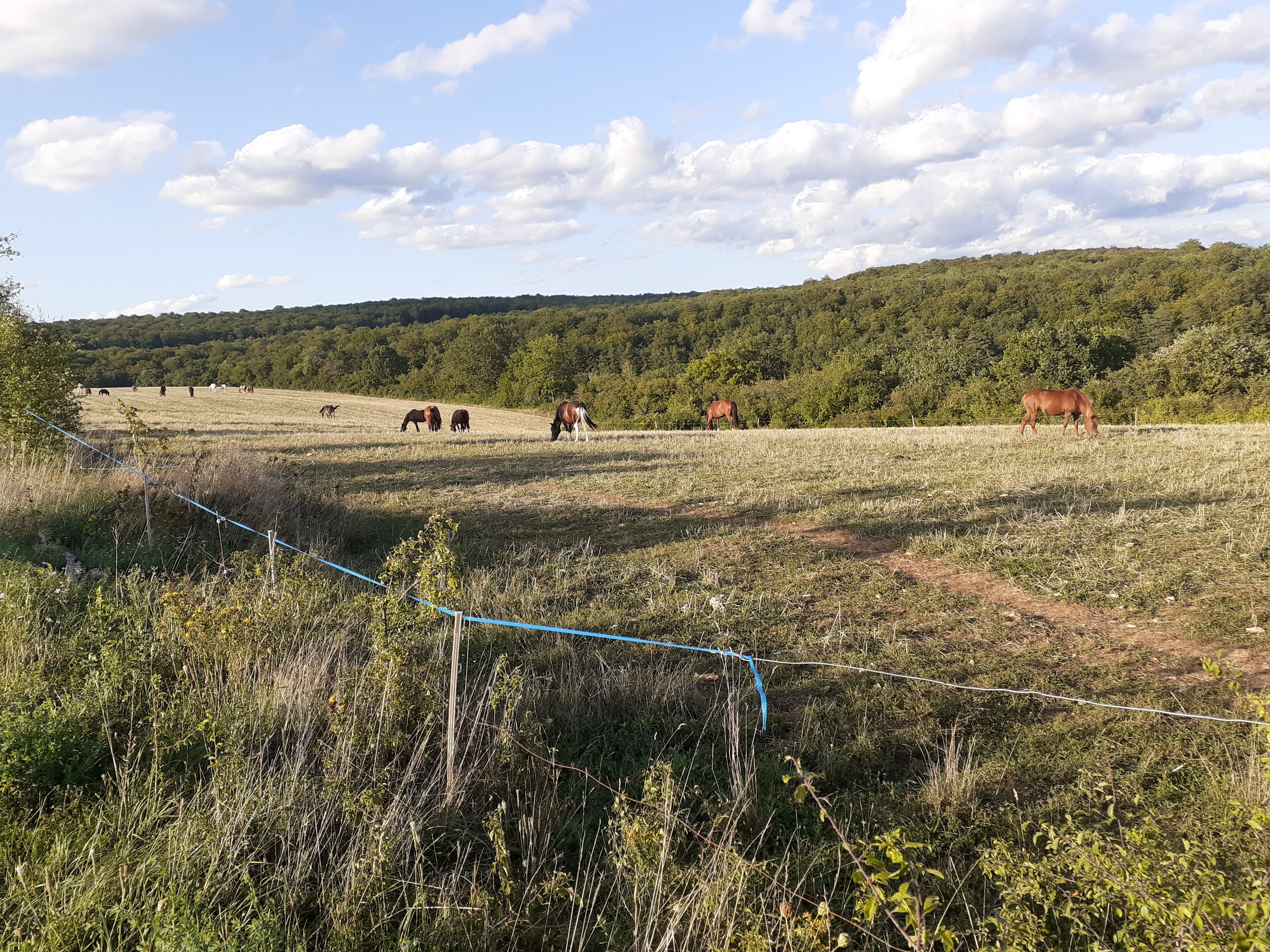 Photo n° 2 de l'avis de ludovic.r fait le 28/08/2023 à 18:37
