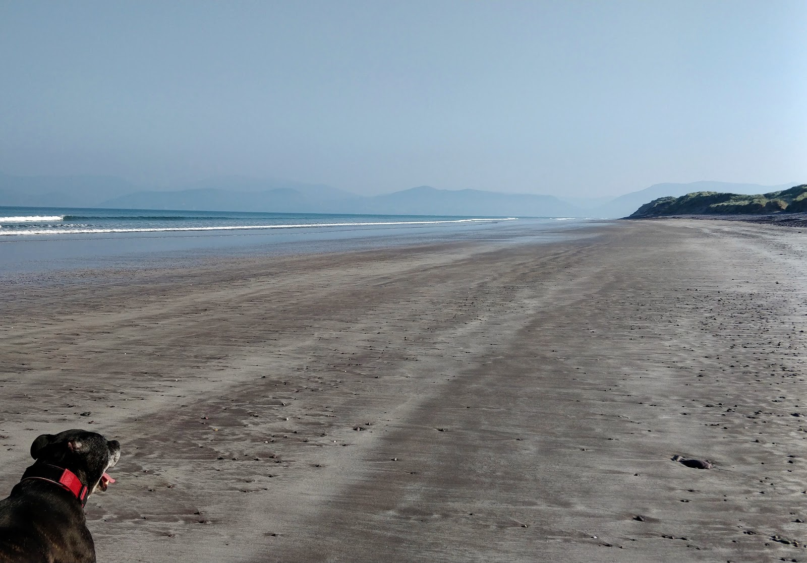 Rossbeigh Beach'in fotoğrafı dağlarla çevrili