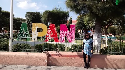 Photos of Presidencia Municipal de Apan