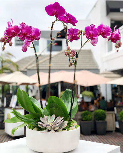Florist «Laguna Florist (Laguna Beach)», reviews and photos, 540 S Coast Hwy, Laguna Beach, CA 92651, USA