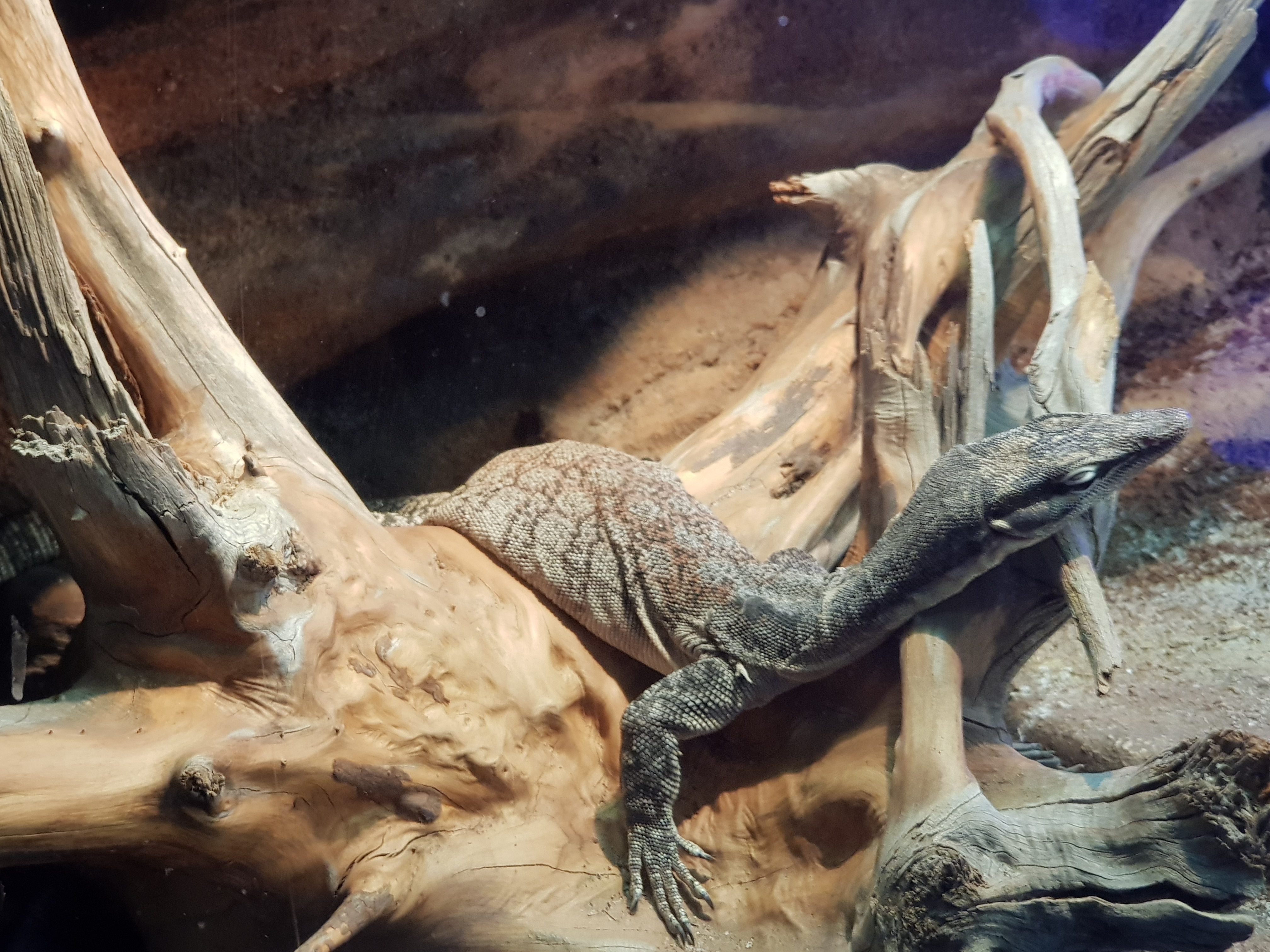 Photo n° 4 de l'avis de Danielle.a fait le 07/03/2019 à 19:30