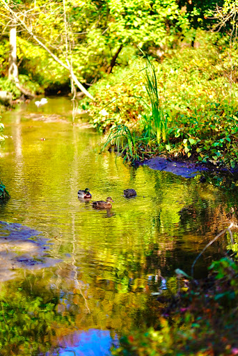 State Park «Valley Stream State Park», reviews and photos, Valley Stream State Park Rd, Valley Stream, NY 11580, USA