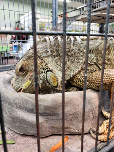 Pet Store «Wet Pet & Reptile Center», reviews and photos, 429 Eastern Blvd, Essex, MD 21221, USA