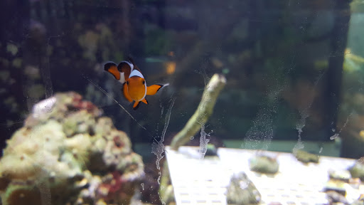 Pet Store «Pets World», reviews and photos, 147 Bridge St, Weymouth, MA 02191, USA