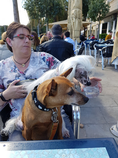 Veterclínic Esplugues en Esplugues de Llobregat