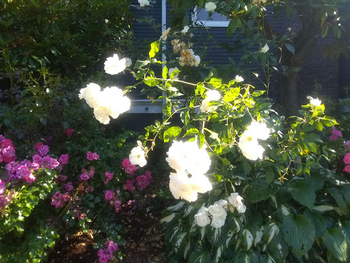 Jubilee Women’s Center