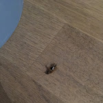 Photo n°1 de l'avis de David.a fait le 18/08/2019 à 07:36 sur le  Eckert à Grenzach-Wyhlen