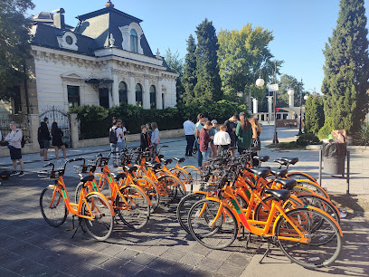 Orange Rental Bikes & Orange Bike Tours