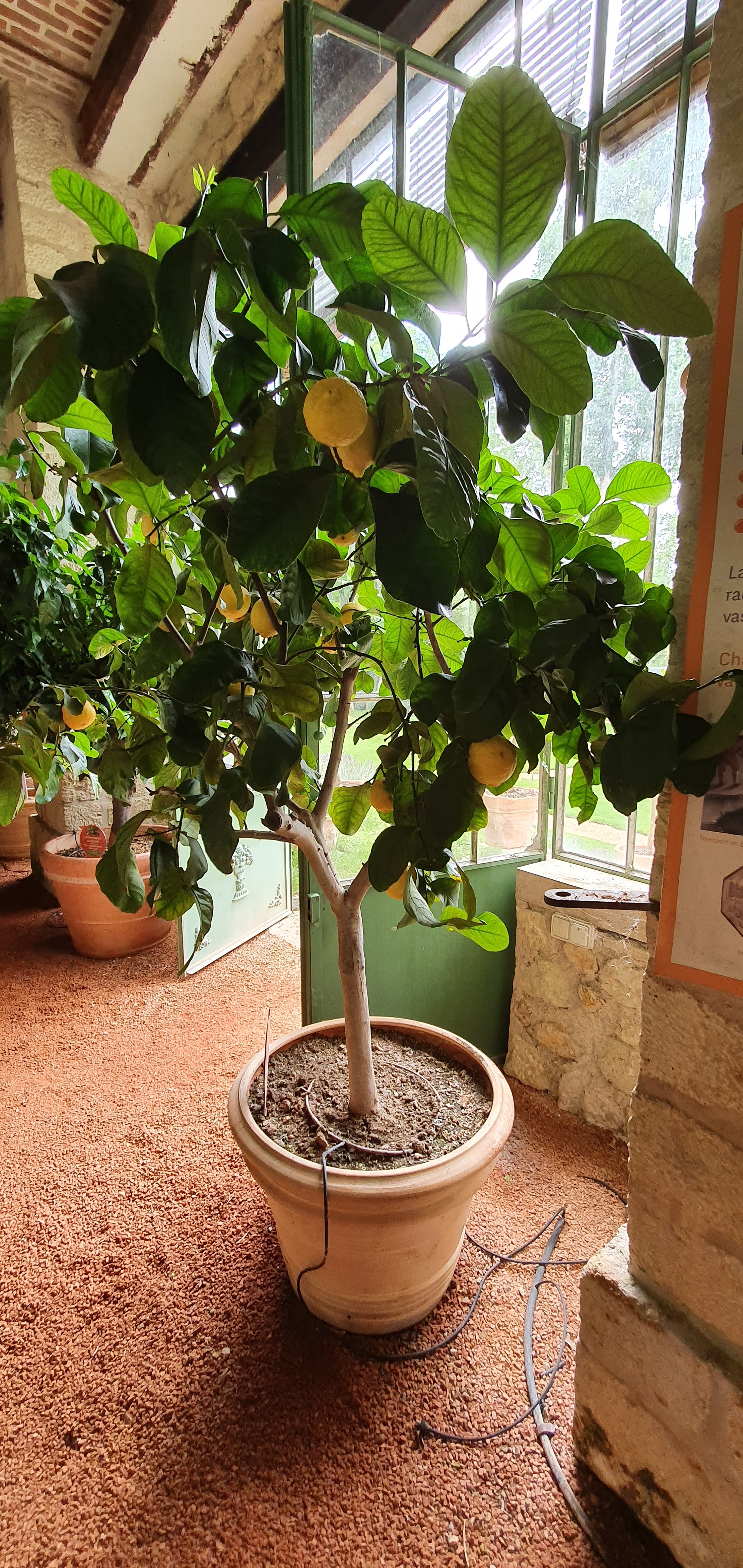 Photo n° 9 de l'avis de Dominique.u fait le 01/08/2021 à 09:33