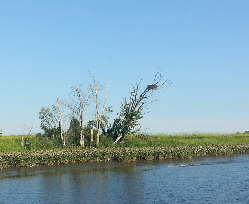 Nature Preserve «Maurice River Bluffs Preserve», reviews and photos, Silver Run Rd, Millville, NJ 08332, USA
