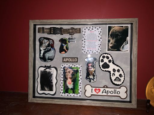 Dog Trainer «Dog Essentials, LLC», reviews and photos, 2948 Guilderland Ave, Rotterdam, NY 12306, USA