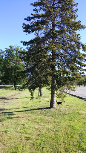 Amphitheater «Michigan Lottery Amphitheatre at Freedom Hill», reviews and photos, 14900 Metro Pkwy, Sterling Heights, MI 48312, USA