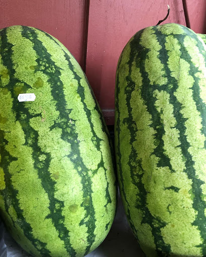 Garden Center «Nalls Produce», reviews and photos, 7310 Beulah St, Alexandria, VA 22315, USA