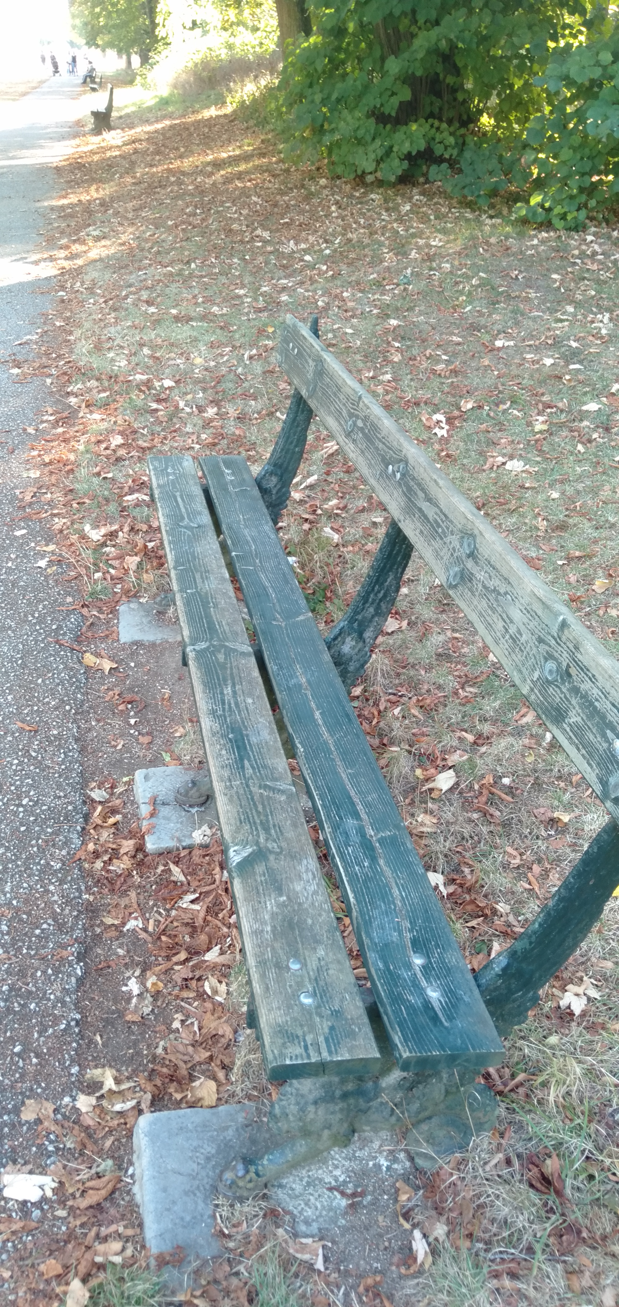 Photo n° 9 de l'avis de M-E. fait le 17/08/2020 à 16:55