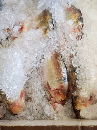 Seafood Market «Ocean Fish Market», reviews and photos, 302 Kingston St, Conway, SC 29526, USA