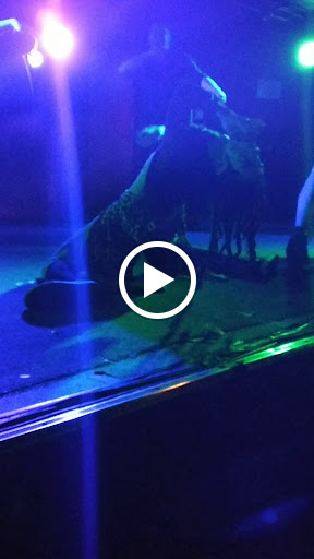 Middle Eastern Restaurant «Middle East Restaurant and Nightclub», reviews and photos, 472-480 Massachusetts Ave, Cambridge, MA 02139, USA