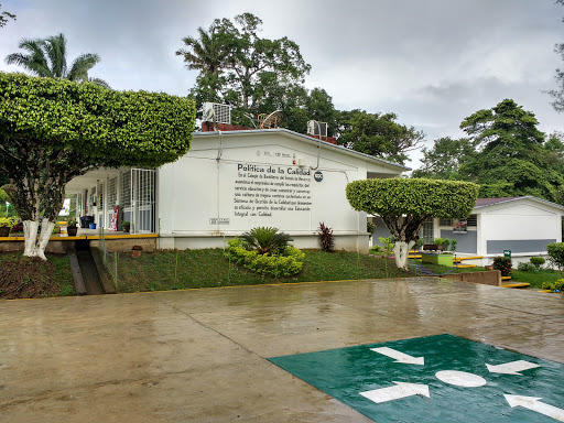 Colegio De Bachilleres Del Estado De Veracruz Plantel 31 Sayula De Aleman en Sayula de Alemán