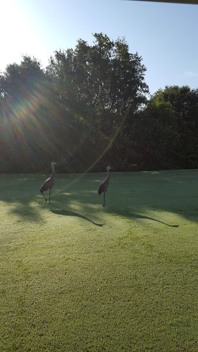 Golf Course «Willowbrook Golf Course», reviews and photos, 4200 FL-544, Winter Haven, FL 33881, USA