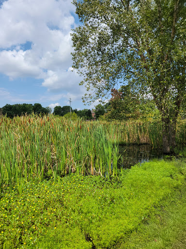 Park «Owl Creek Park», reviews and photos, 9751 Concord Rd, Brentwood, TN 37027, USA