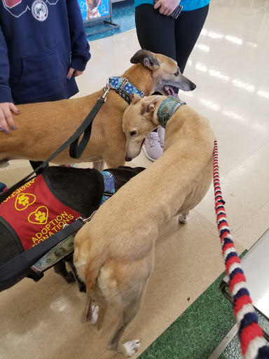 Pet Supply Store «Petco Animal Supplies», reviews and photos, 20980 Westgate Mall, Fairview Park, OH 44126, USA