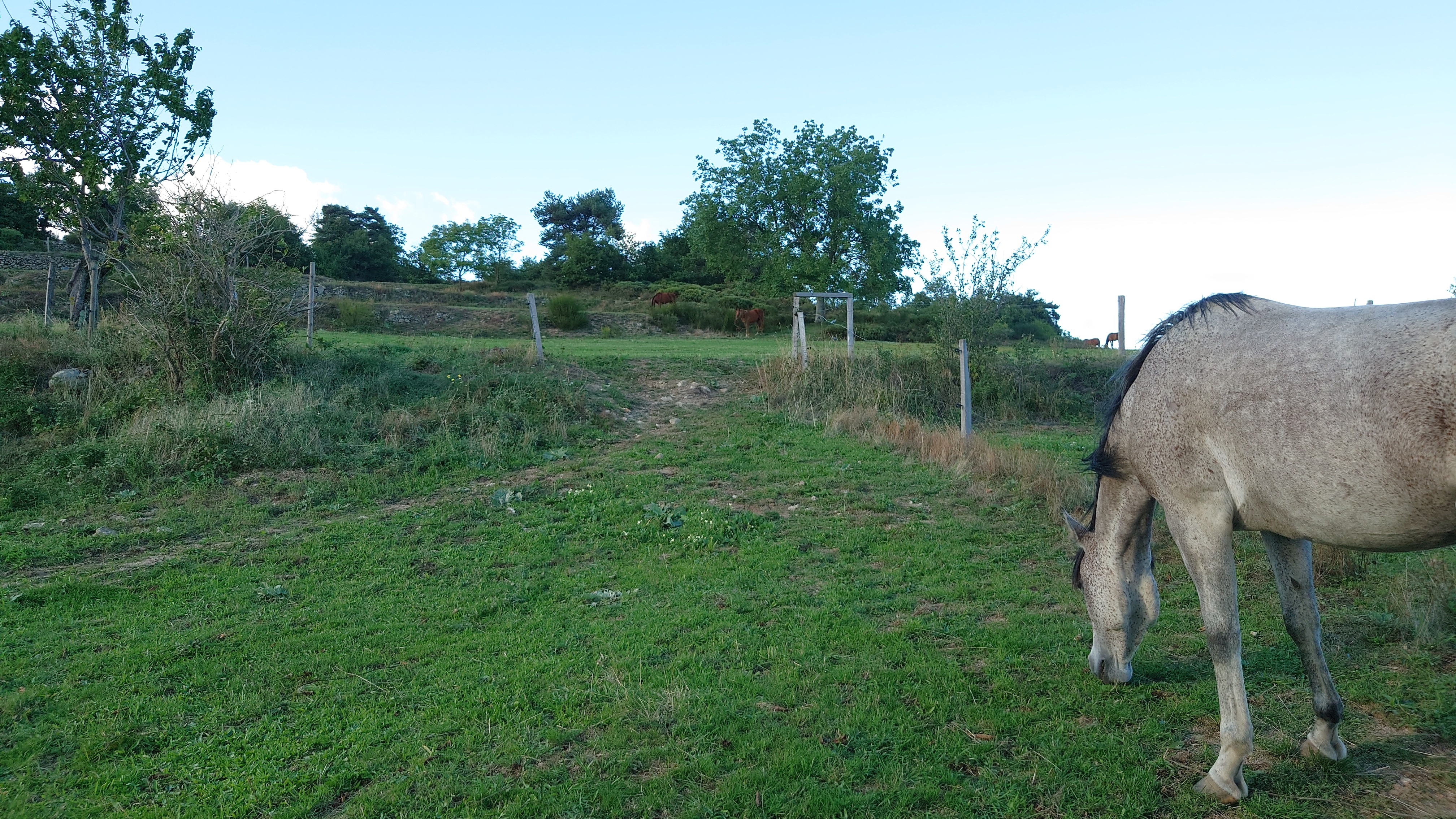 Photo n° 4 de l'avis de guillaume.o fait le 18/09/2022 à 18:35