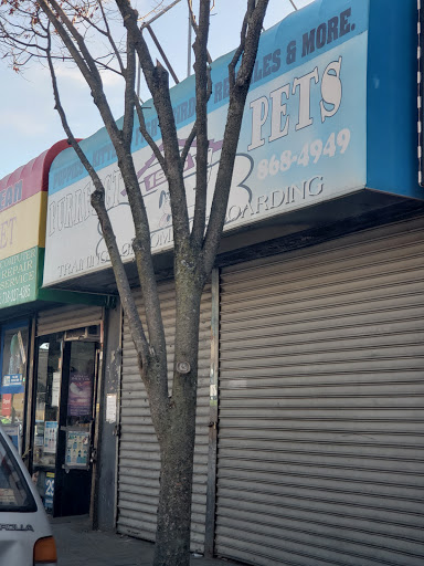 Pet Store «Purrfect Pets», reviews and photos, 1915 Mott Ave, Far Rockaway, NY 11691, USA