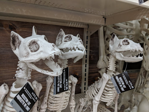 Craft Store «Hobby Lobby», reviews and photos, 42643 Ford Rd, Canton, MI 48187, USA