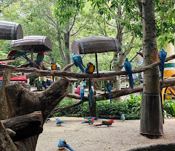 Safari World photo