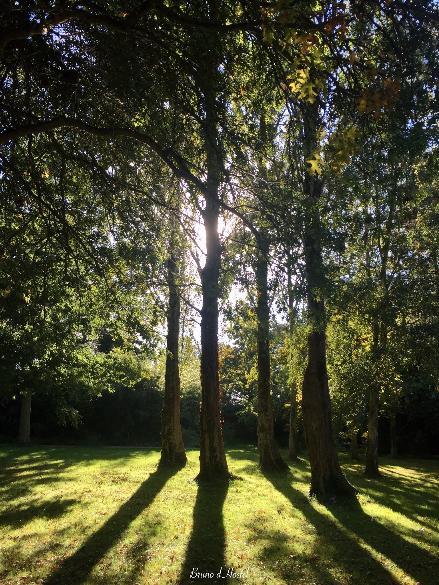 Photo n° 3 de l'avis de Bruno.' fait le 12/10/2021 à 20:35