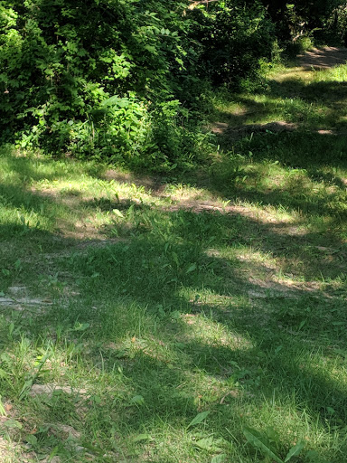 Park «Legion Disc Golf Course», reviews and photos, Boyson Trail, Marion, IA 52302, USA