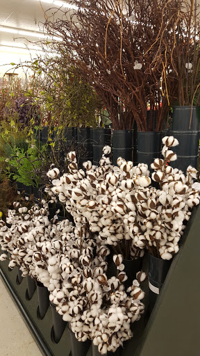 Craft Store «Hobby Lobby», reviews and photos, 2858 Virginia Beach Blvd, Virginia Beach, VA 23452, USA