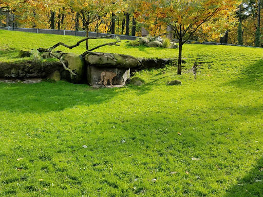 Zoo «Oregon Zoo», reviews and photos, 4001 Southwest Canyon Road, Portland, OR 97221, USA