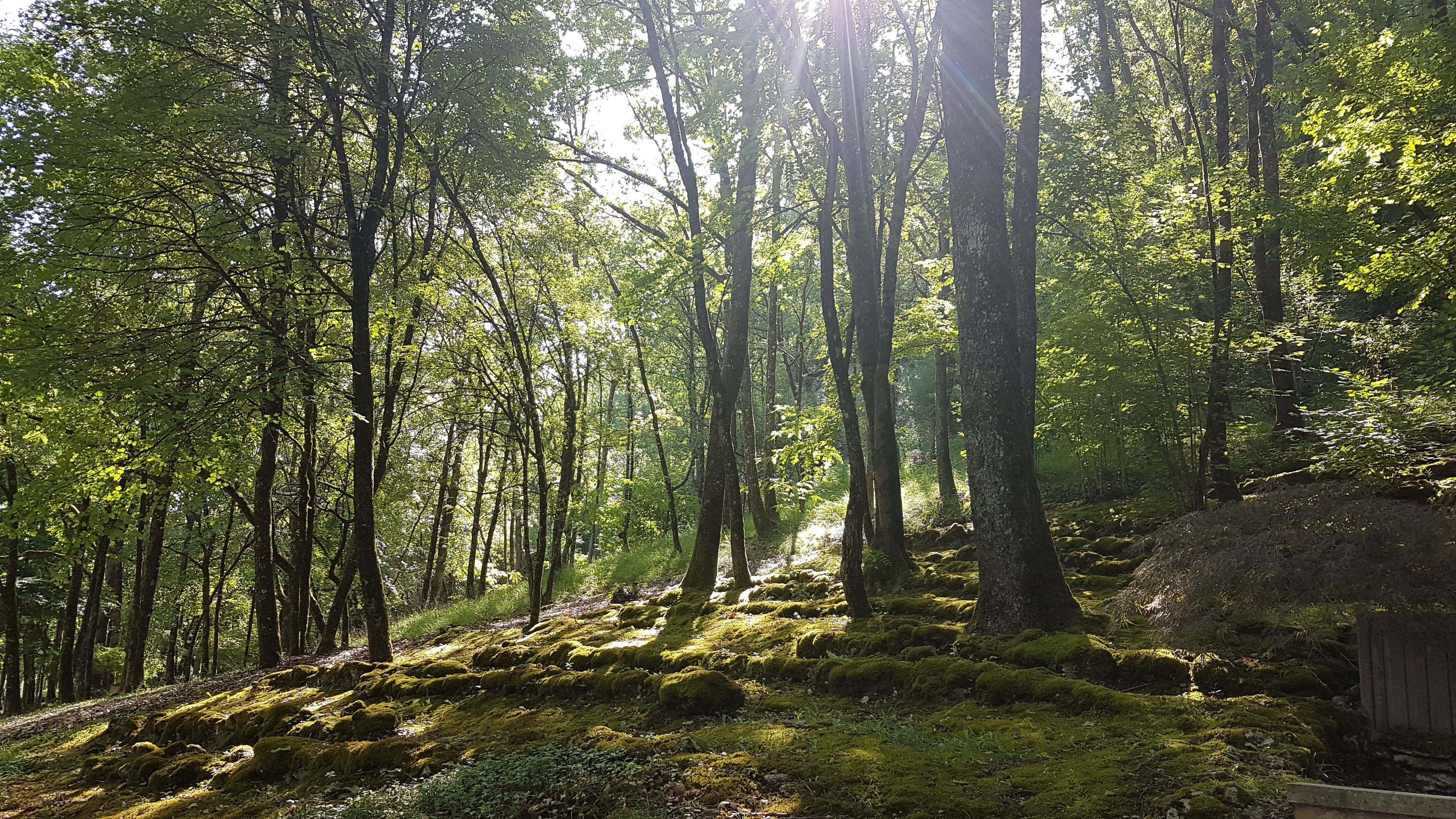 Photo n° 7 de l'avis de Jipi. fait le 24/08/2019 à 19:58