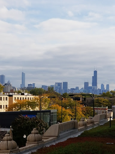 Community Center «Center on Halsted», reviews and photos, 3656 N Halsted St, Chicago, IL 60613, USA