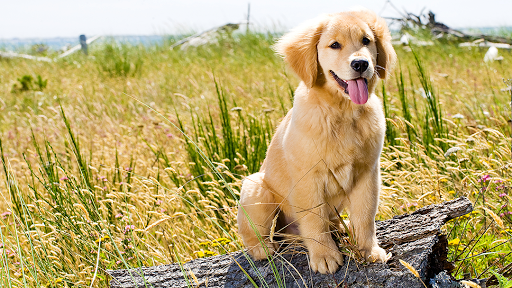 114 E Mt Airy Ave, Philadelphia, PA 19119, USA