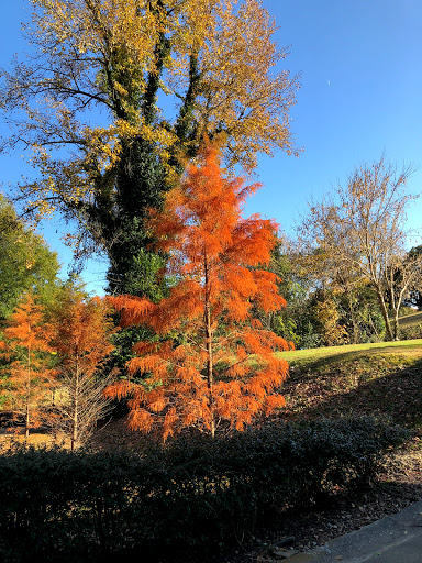 Public Golf Course «Candler Park Golf Course», reviews and photos, 585 Candler Park Dr NE, Atlanta, GA 30307, USA