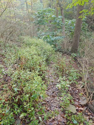 Dee Koestering Park - photo 22