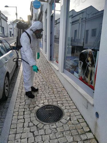 Pest & Clean - Controlo de Pragas e Desinfestação - Vila Franca de Xira