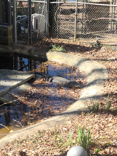 Government Office «Bear Hollow Wildlife Trail», reviews and photos, 293 Gran Ellen Dr, Athens, GA 30606, USA