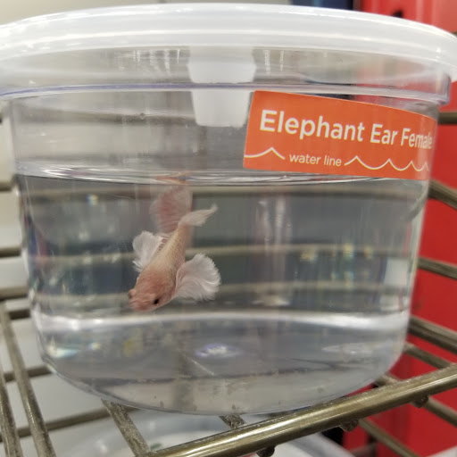 Pet Supply Store «Petco Animal Supplies», reviews and photos, 2365 NW Kings Blvd, Corvallis, OR 97330, USA