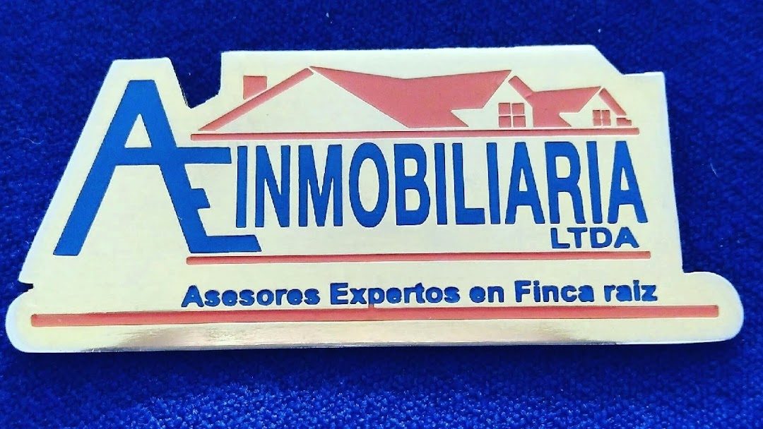 AE INMOBILIARIA S.A.S MADRID