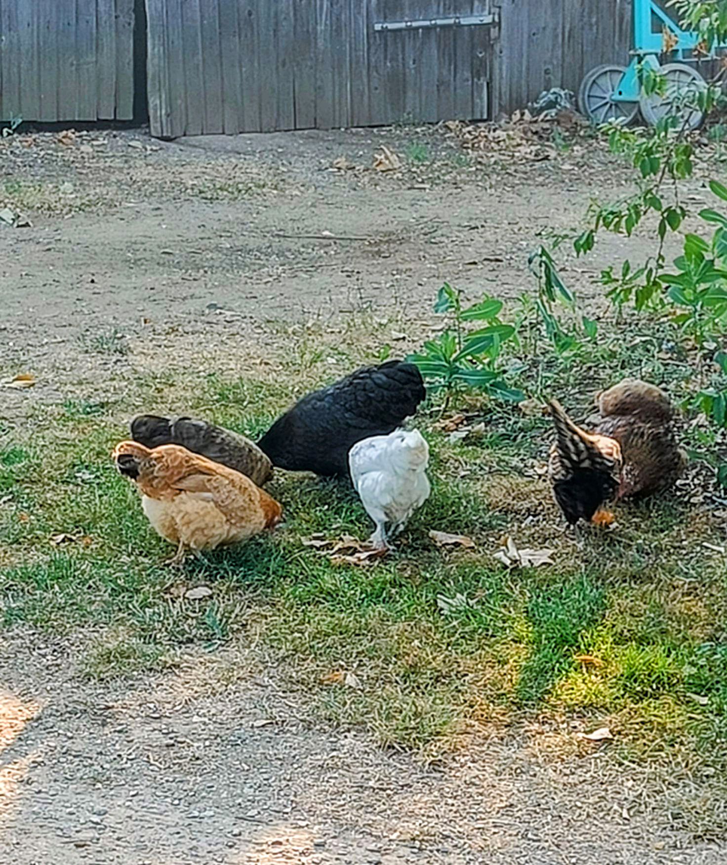Photo n° 8 de l'avis de Ross.a fait le 15/06/2023 à 16:59