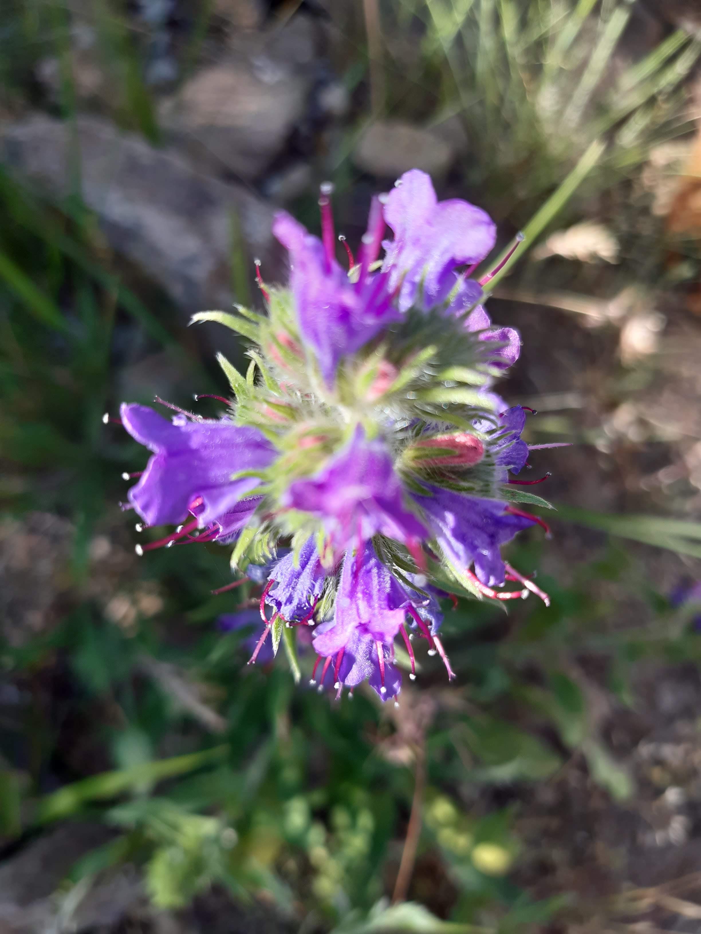 Photo n° 2 de l'avis de Magali.r fait le 12/07/2022 à 12:31