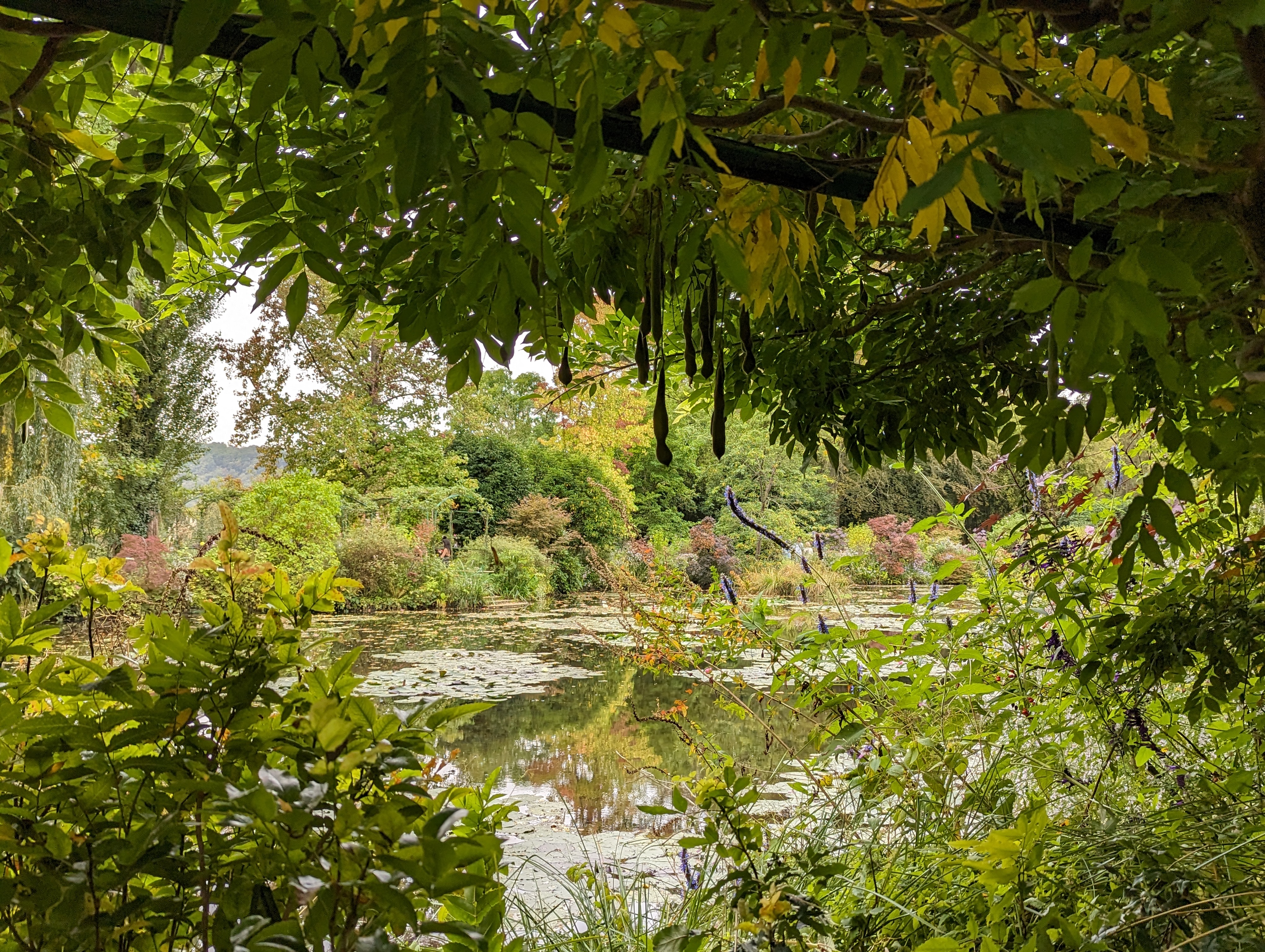 Photo n° 7 de l'avis de Salima.l fait le 05/11/2023 à 22:12