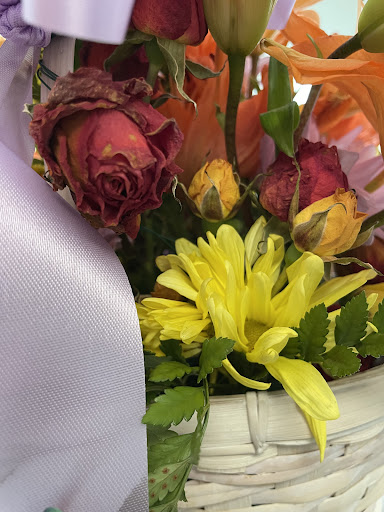 Buds & Blooms Landscaping Nursery, 42 Sea Island Pkwy, Beaufort, SC 29907, USA, 