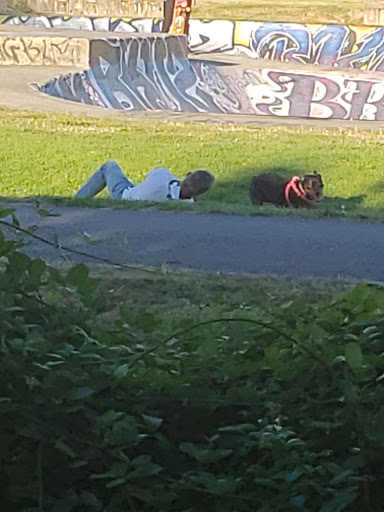 Park «Kent Lions Skate Park», reviews and photos, W Smith St & Interurban Trail, Kent, WA 98032, USA